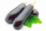 Auberginen 1000 g